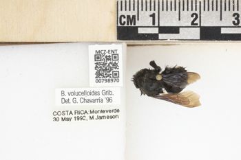 Media type: image;   Entomology 798970 Aspect: labels